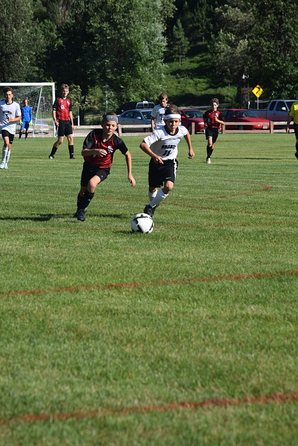 赛向我们揭 赛向我们揭