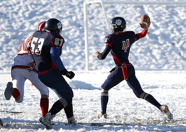 [花滑]安香怡获得四大洲花样滑冰锦标赛女单第13名.