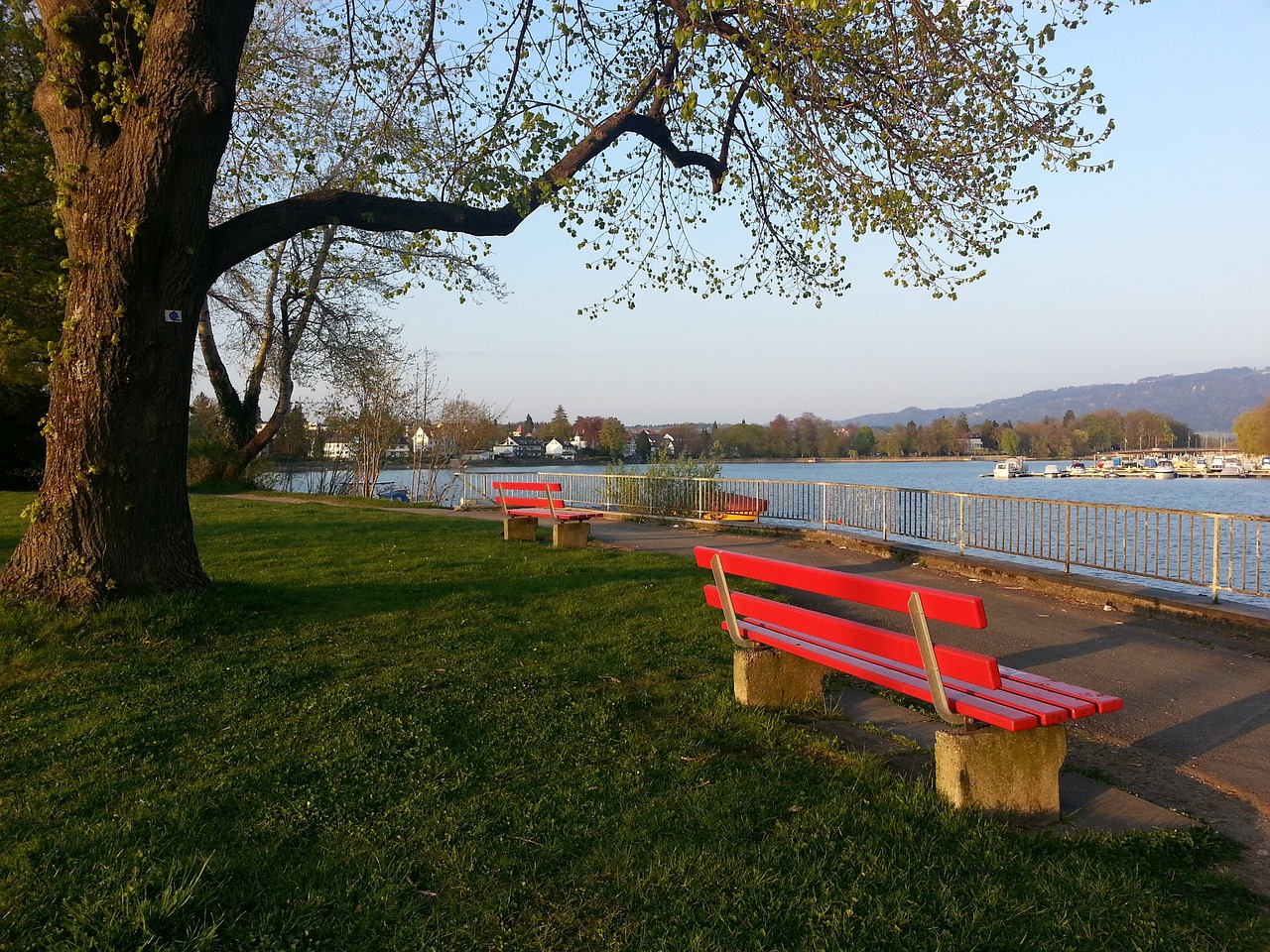 詹姆斯与库 詹姆斯与库