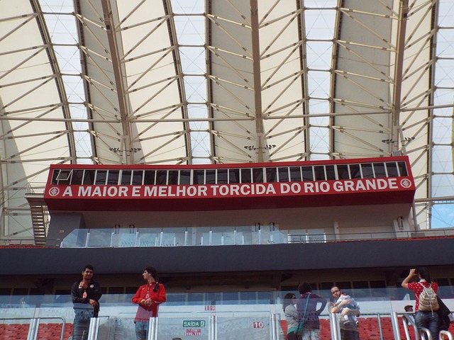 [亚冬会]李心鹏获得自由式滑雪男子个人空中技巧金牌.